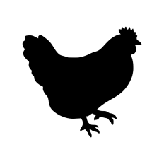 Chicken silhouette