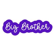 Big Brother