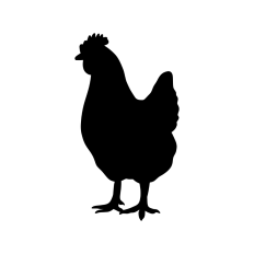 Chicken silhouette