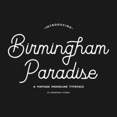 Birmingham Paradise - Monoline Script Font