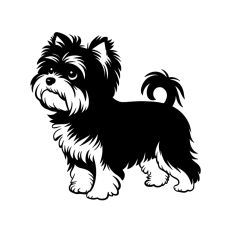 Yorkiepoo