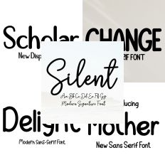 Font Collection Bundle 13