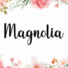 Magnolia