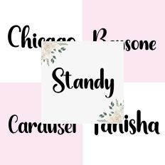 Font Collection Bundle 19