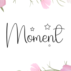 Moment Font
