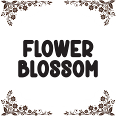 Flower Blossom