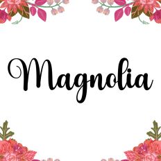 Magnolia