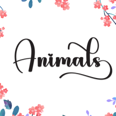 Animals