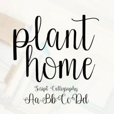 Plant Home