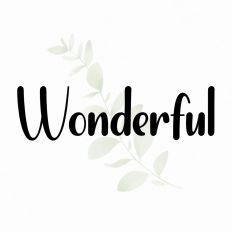 Wonderful