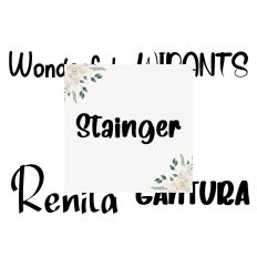 Font Collection Bundle 25