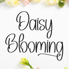 Daisy Blooming