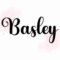 Basley Fonts