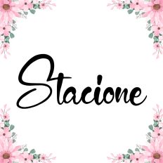 Stacione Fonts