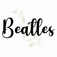 Beatles Fonts