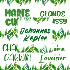 Font Collection Bundle 33