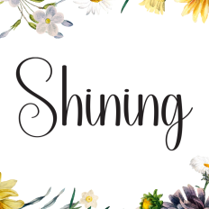Shining | Script Font