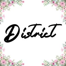 District Fonts