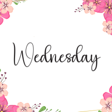 Wednesday | Script Font