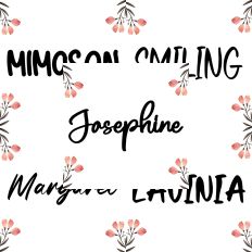 Font Collection Bundle 39