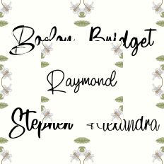 Font Collection Bundle 41