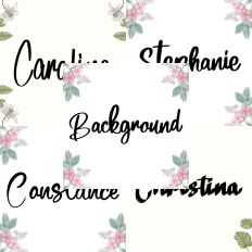 Font Collection Bundle 42