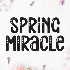 Spring Miracle | Script Font