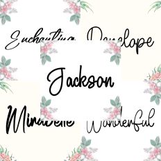 Font Collection Bundle 43