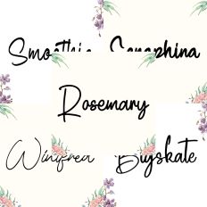 Font Collection Bundle 44