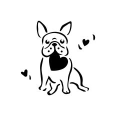 French Bulldog
