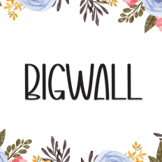 Bigwall | Script Font