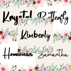 Font Collection Bundle 46