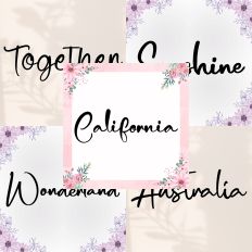 Font Collection Bundle 49