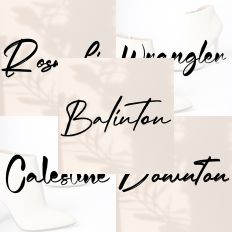 Font Collection Bundle 50