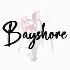 Bayshore Fonts