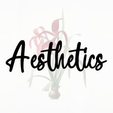 Aesthetics Fonts