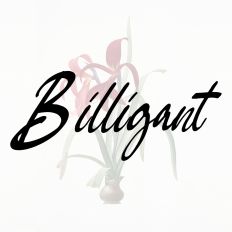 Billigant Fonts