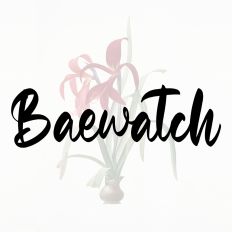 Baewatch Fonts