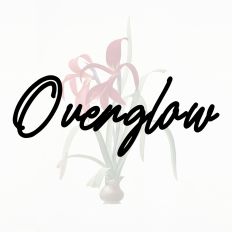 Overglow Fonts