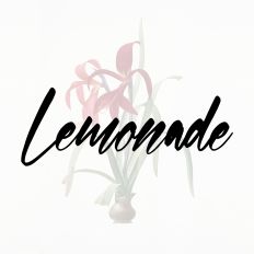 Lemonade Fonts