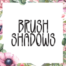 Brush Shadows | Script Font