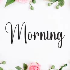 Morning | Script Font
