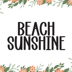 Beach Sunshine | Script Font
