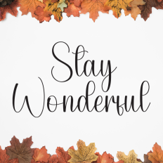 Stay Wonderful | Script Font