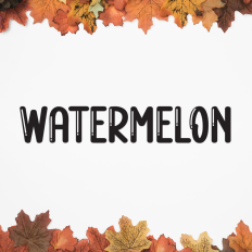 Watermelon | Script Font