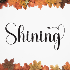 Shining | Script Font