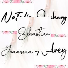 Font Collection Bundle 52