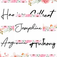 Font Collection Bundle 53