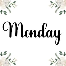 Monday Fonts