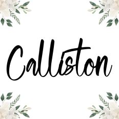 Calliston Fonts